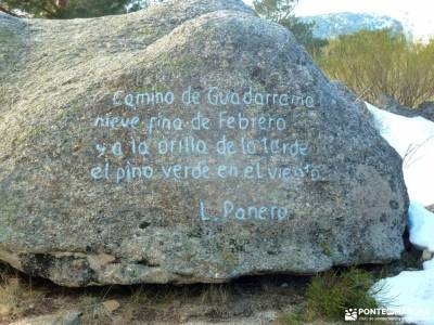 Camino Schmidt_Miradores Rosales,Vicente Aleixandre;selva de irati senderismo pedriza rutas sierra d